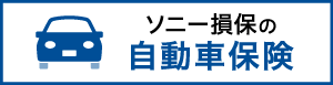 総合自動車保険TypeＳ