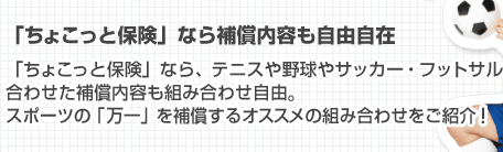 「ちょこっと保険」なら補償内容も自由自在　「ちょこっと保険」なら、テニスや野球やサッカー・フットサルに合わせた補償内容も組み合わせ自由！スポーツの「万一」を補償するオススメの組み合わせをご紹介！