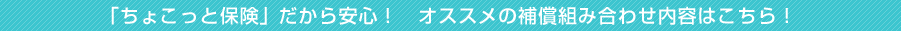 「ちょこっと保険」だから安心！　オススメの補償組み合わせ内容はこちら！