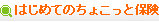はじめてのちょこっと保険