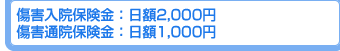 傷害入院保険金：日額2,000円　傷害通院保険金：日額1,000円