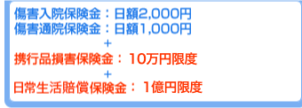傷害入院保険金：日額2,000円　傷害通院保険金：日額1,000円　＋　携行品損害保険金：1回につき10万円　＋　個人賠償責任保険金：1回につき1億円