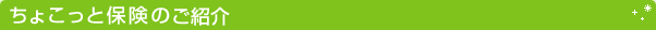 ちょこっと保険のご紹介