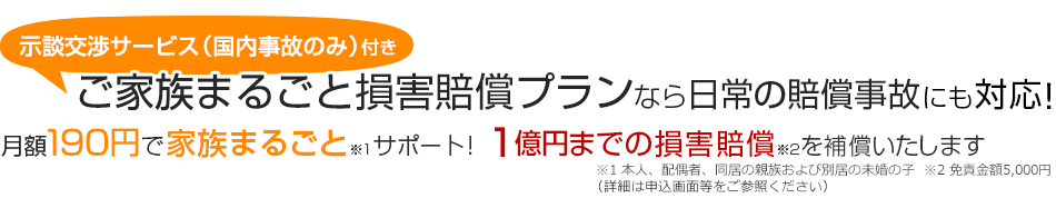 示談交渉サービス付きご家族まるごと損害賠償プランなら日常の賠償事故にも対応!　月額190円で家族まるごとサポート！1億円までの損害賠償を補償致します。