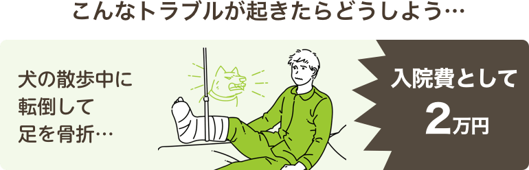 こんなトラブルが起きたらどうしよう…犬の散歩中に転倒して足を骨折…入院費として2万円