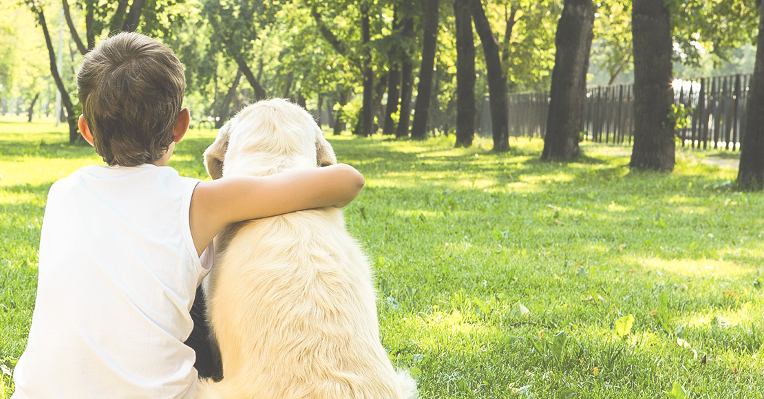 ペットを飼っている間のもしもに備える　ペット飼い主さんプラン 月額310円から