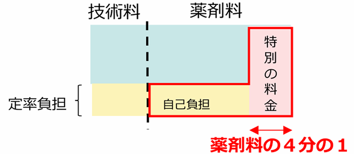 特別の料金は薬剤料の1/4（25％）、残りの3/4は定率自己負担
