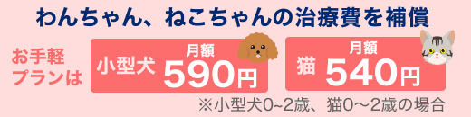 これだけペット